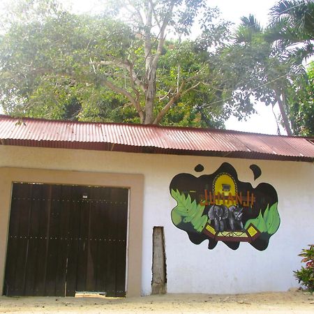 Jumanji Apartment Palomino Luaran gambar