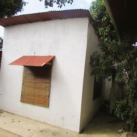 Jumanji Apartment Palomino Luaran gambar