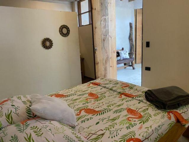 Jumanji Apartment Palomino Luaran gambar